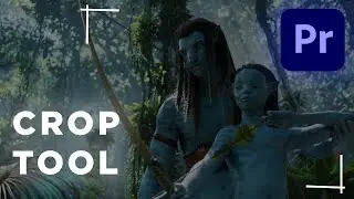 How to Crop Videos Like a Pro in Premiere Pro?