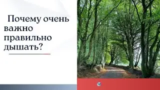 Почему очень важно правильно дышать?