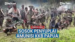 Sosok Penyuplai Amunisi KKB Papua, Akhirnya Terungkap