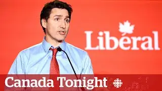 What’s next for the Liberals after campaign director steps down? | Canada Tonight