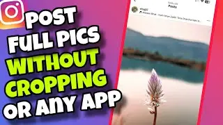 (NEW TRICK) How To Post Full Photos on Instagram WITHOUT Cropping / Editing / Any App