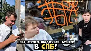 ЛИКС, ШАДОУКЕК, СТРОГО, АУНКЕР В СПБ!