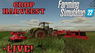 Harvest Time! Lime, Fertilizer, Plow, Roll And Planting Farming Simulator 22 FS22