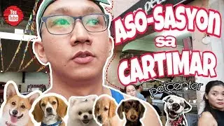 Best Petshop In The Philippines 🇵🇭 | Cartimar Pet Center 🐕 | Pet Lover ❤