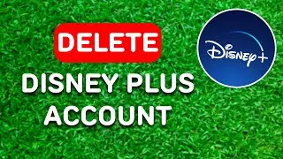 How To Delete Your Disney Plus Account (2024) - Full Guide