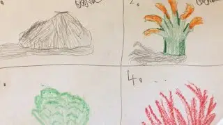 Me Attempting to draw multiple things That I could find￼￼ (Rocks and aquatic plants￼🪨🐚)