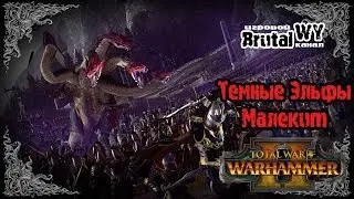 Total War: Warhammer 2 ⚔ Темные эльфы - Прохождение E1S5