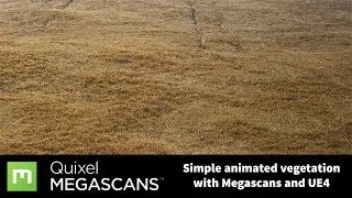 Simple Animated Vegetation with Megascans and UE4