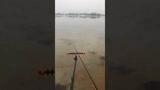 Бюджетный держатель для фидера . Фидерная подставка .