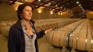 The Majestic Rioja: Spains Largest Wine Region | Documentary