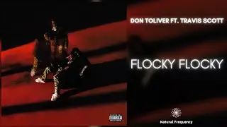 Don Toliver - Flocky Flocky (feat. Travis Scott) [432Hz]