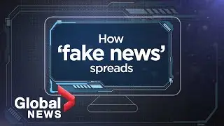 Fake News explained: How disinformation spreads