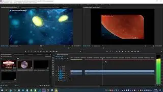 Адоб премьер про не вставляется видео выходит только звук/ adobe premiere pro