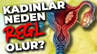 Regl: Kadınlar Neden Adet Görür?