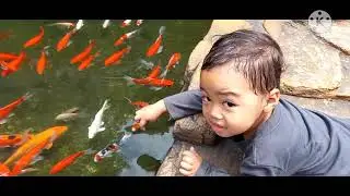 FOOD VLOG | MAKAN IKAN BAKAR DI TIRTA ASRI SEMPU LIMPUNG ENAK BANGET TEMPAT NYA DAN MURAHHH