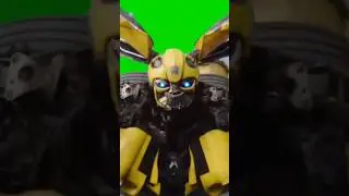 Bumblebee 