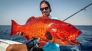 Could this be the $85,000 FISH?