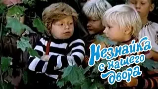 Незнайка с нашего двора (1983)