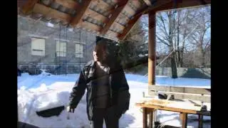Ижевские голуби. Зимний взгон)))