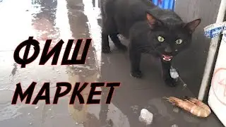 Рыбный рынок в Дубае