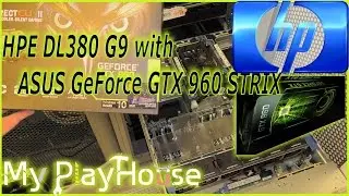 ASUS GeForce GTX 960 STRIX in an HPE dl380 G9 Server - 361