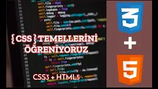 CSS NEDİR? / CSS TEMELLERİNİ ÖĞREN