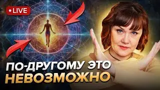 Люди без этого импульса застревают навсегда в своей матрице, а получить его можно с помощью..