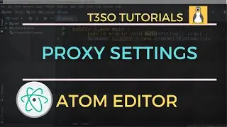 How to Disable use proxy settings when calling APM in Atom Editor