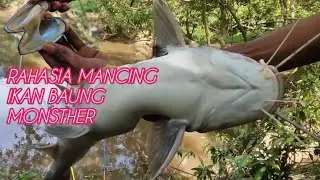 PESTA STREKE_KEMBALI MANCING IKAN BAUNG DI SPOTE ANDALAN DENGAN UMPAN JITU