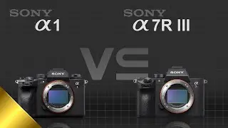 Sony alpha a1 vs Sony alpha a7R III