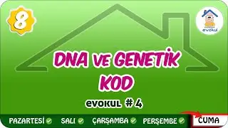 DNA ve Genetik Kod | 8.Sınıf 