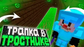 НОВАЯ ТРАПКА В ТРОСТНИКЕ | ТРАПЕР ШОУ АНАРХИЯ НА СЕРВЕРЕ REALLYWORLD FUNTIME OPPOCRAFT | MINECRAFT