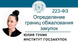 Определение границ обжалования закупок по Закону 223-ФЗ, 15.02.2024