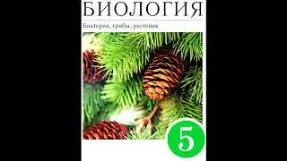 § 23 Покрытосеменные или Цветковые