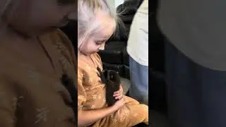 ВЛЮБЛЁННЫЙ ЕНОТ / МАЛЫШИ ЕНОТ И ЕВА #енот #малышенот #еноттеодор