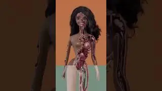 animation of how women's are 