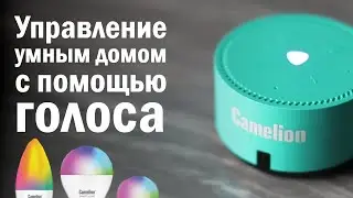 Как управлять умным домом с помощью голосовых команд и что для этого нужно