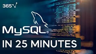 MySQL in 25 Minutes | Primary and Foreign Keys | Database Terminology for Beginners