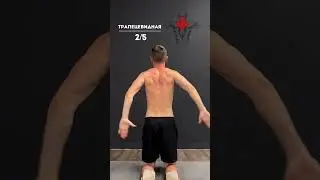 🔥Шикарный Комплекс упражнений на спину