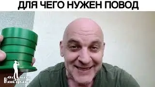 ДЛЯ ЧЕГО НУЖЕН ПОВОД