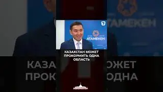 Казахстан может прокормить одна область