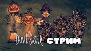 🔴LIVE | Винтерфест соло Волтер | Don't Starve