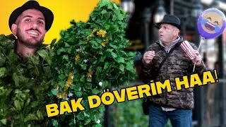 AĞAÇ ADAM ŞAKASI - 2024 YILBAŞI ÖZEL BÖLÜM