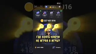 Где взять код для активации ключа в Hamster Kombat? Коды для Хамстер Комбат.