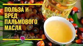 ПАЛЬМОВОЕ МАСЛО. ПОЛЬЗА И ВРЕД