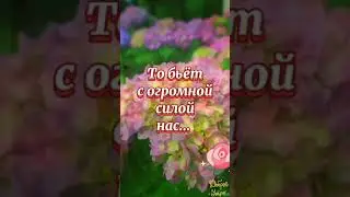 А Жизнь не сказка, Жизнь - наука …