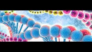 My first genetic algorithm | Evolutionary phrase