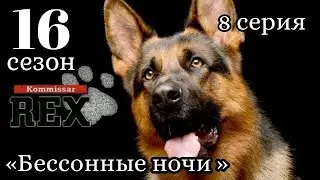 Комиссар Рекс, 16 сезон, 8 серия «Бессонные ночи »