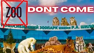 Don’t Visit Novosibirsk Zoo After Winter  | трагедия в зоопарке 🇷🇺