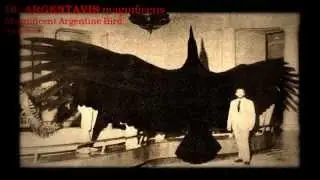 TOP 10 LARGEST PREHISTORIC BIRDS (ranking) - with description